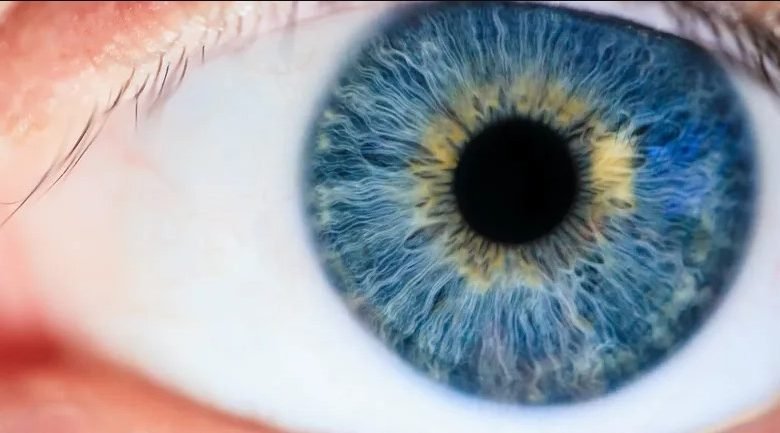 اكتشاف جديد.. علاج العين قد يصبح أكثر أماناً