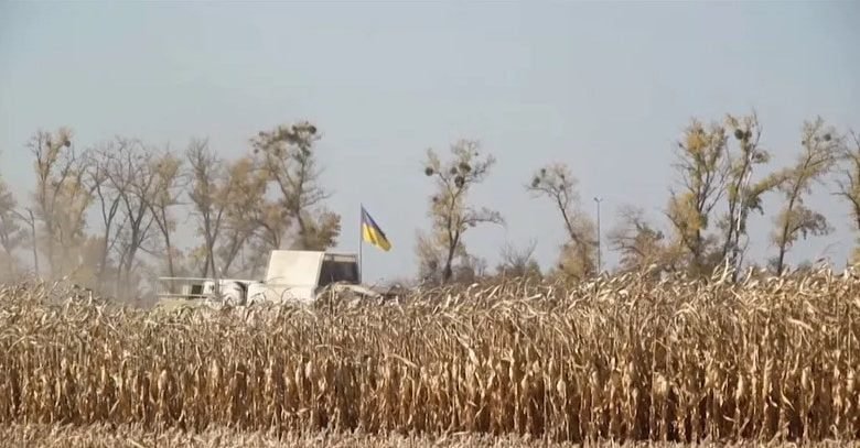 تهدد أمن الغذاء العالمي.. 22 مليون طن "حبوب عالقة" بأوكرانيا