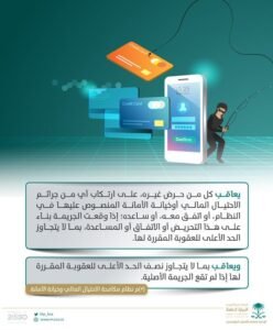 النيابة العامة: الاشتراك في جرائم الاحتيال المالي يوجب التوقيف