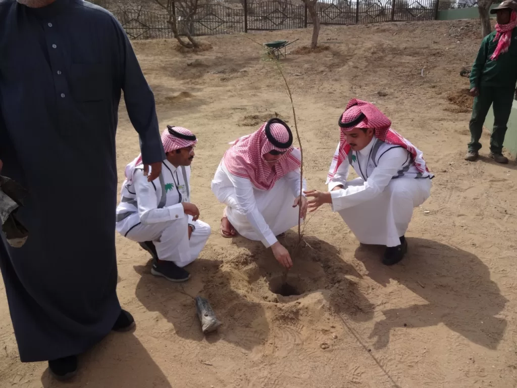 محافظ بلجرشي يطلق مبادرة تشجير "لنجعلها خضراء"