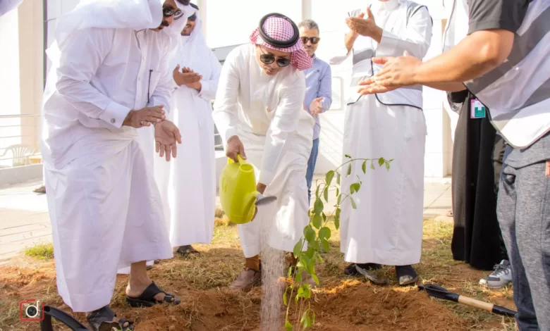 محافظ أبو عريش يدشن مبادرة تشجير " لنجعلها خضراء”