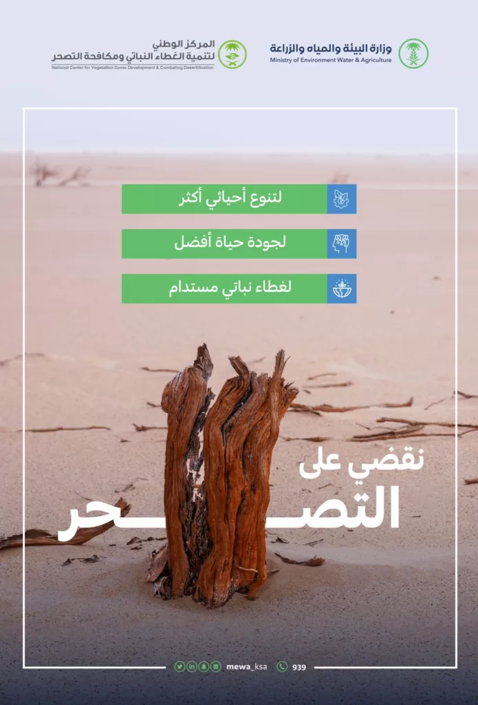 "البيئة": القضاء على التصحر يحقق جودة حياة أفضل وغطاءً نباتيًّا مستدامًا
