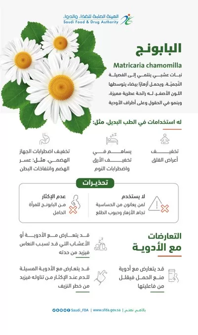 هيئة الغذاء والدواء توضح استخدامات نبات «البابونج» في الطب البديل