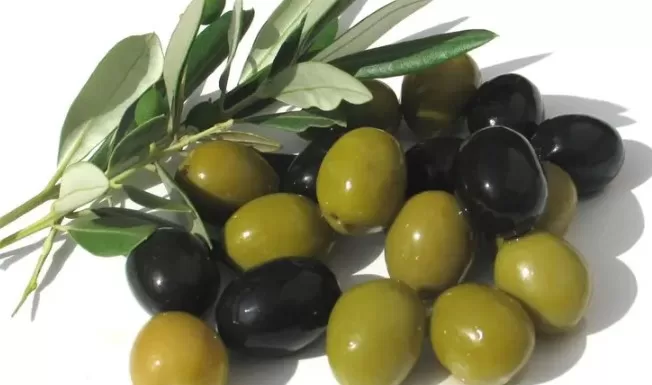 5 فوائد صحية لفاكهة الزيتون بلونيها الأخضر والأسود.. تعرف عليها!