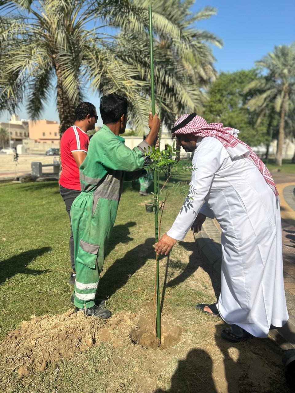 جمعية اصدقاء البيئة وقسم الجغرافيا ونظم المعلومات الجغرافية ينفذان مبادرة تشجير بحديقة الريان بالدمام