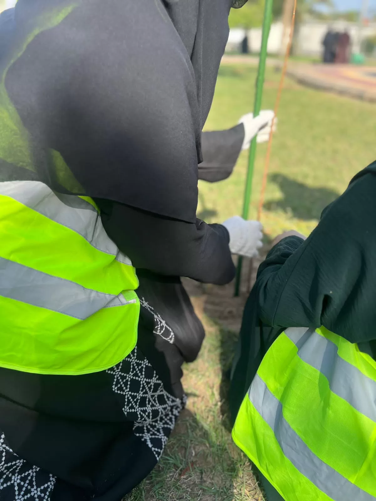جمعية اصدقاء البيئة وقسم الجغرافيا ونظم المعلومات الجغرافية ينفذان مبادرة تشجير بحديقة الريان بالدمام