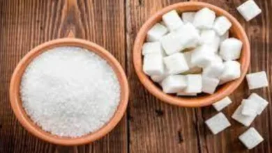"النمر": الابتعاد عن الملح والسكر يقي من أمراض القلب والجلطات مستقبلاً