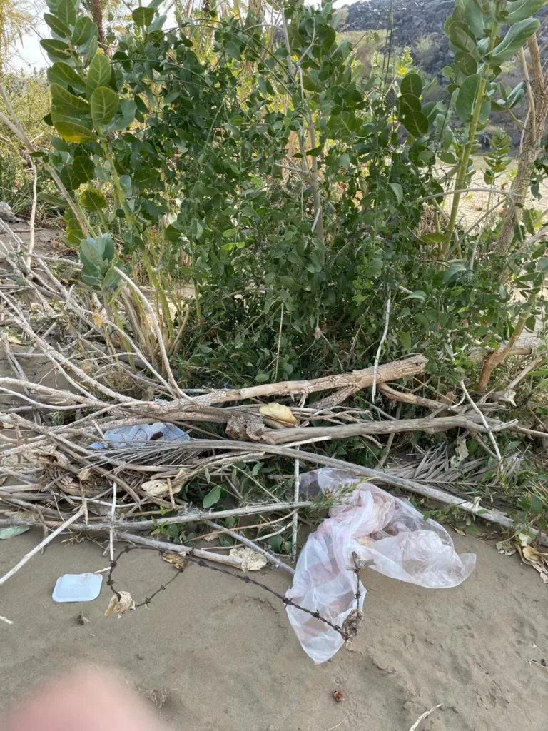 مناظر مؤسفة.. “البوابة” ترصد عدم تقيد المتنزهين بالآداب العامة والذوق العام وإهمال نظافة المتنزهات مناظر مؤسفة.. "البوابة" ترصد عدم تقيد المتنزهين بالآداب العامة والذوق العام وإهمال نظافة المتنزهات