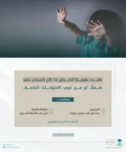 النيابة العامة تشدد على حظر جميع أشكال التحرش وتؤكد: عقوبات مشددة للمخالفين
