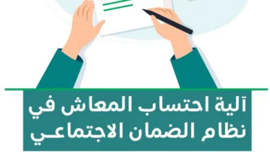 عبر 3 خطوات.. تعرّف على آلية احتساب المعاش في نظام الضمان الاجتماعي