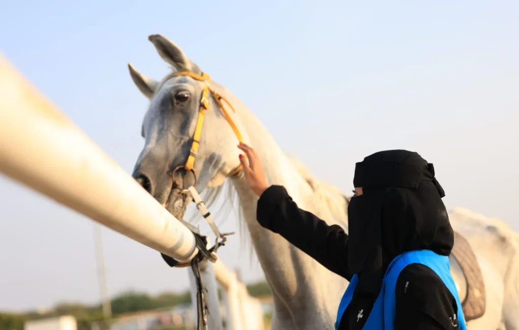 محافظ أبو عريش يرعى حفل تكريم 20 كفيف وكفيفة من هواة ركوب الخيل محافظ أبو عريش يرعى حفل تكريم 20 كفيف وكفيفة من هواة ركوب الخيل