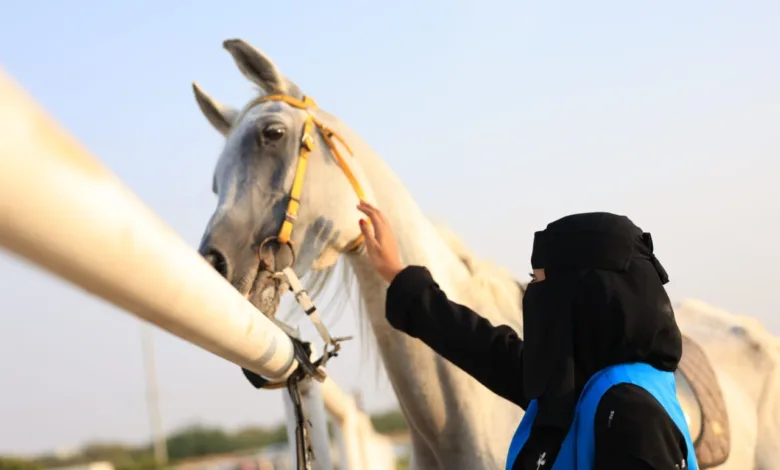 محافظ أبو عريش يرعى حفل تكريم 20 كفيف وكفيفة من هواة ركوب الخيل