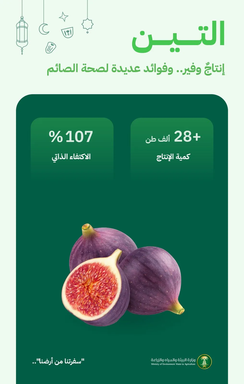 "البيئة": التين المحلي يلبي احتياجات السوق بإنتاج يتجاوز "28" ألف طن سنويًا
