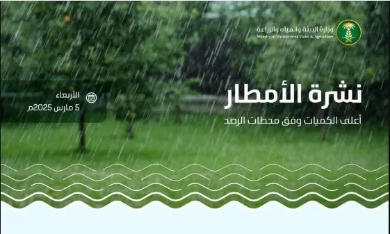 «البيئة»: مكة المكرمة تسجّل أعلى كمية لهطول الأمطار بـ28.0 ملم