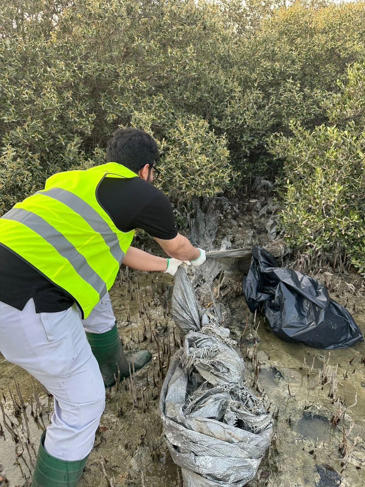 في اليوم العالمي للتنوع الأحيائي.. جمعية أصدقاء البيئة تحشد تحالفًا وطنيًا لحماية غابات وشواطئ المانغروف