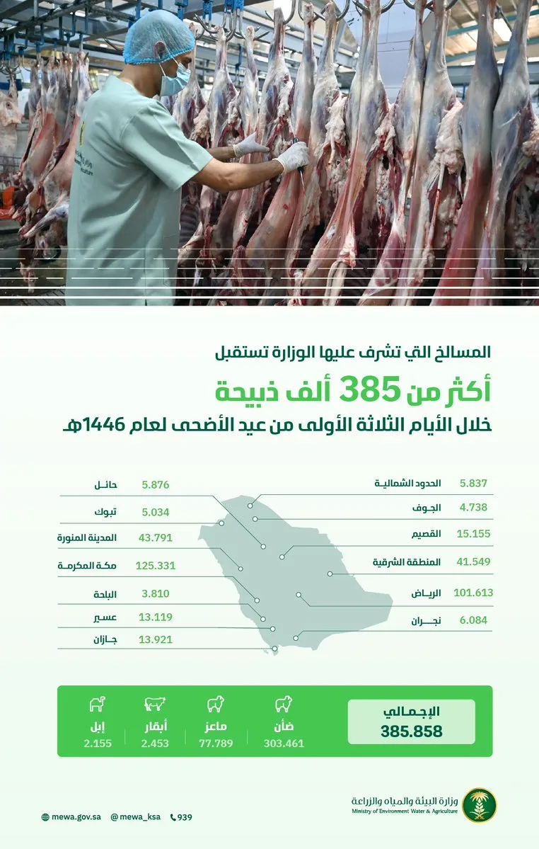 "البيئة": مسالخ الوزارة استقبلت أكثر من 385 ألف ذبيحة خلال الأيام الـ3 الأولى من عيد الأضحى
