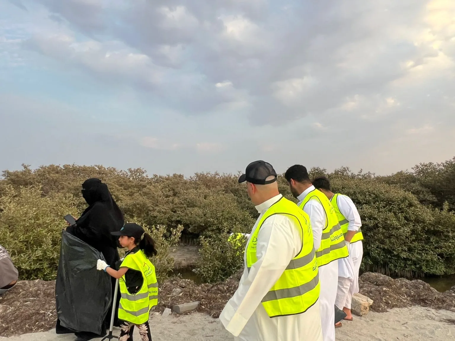 أصدقاء البيئة تستثمر طاقات الطلاب بمبادرة بيئية لحماية غابات المانغروف