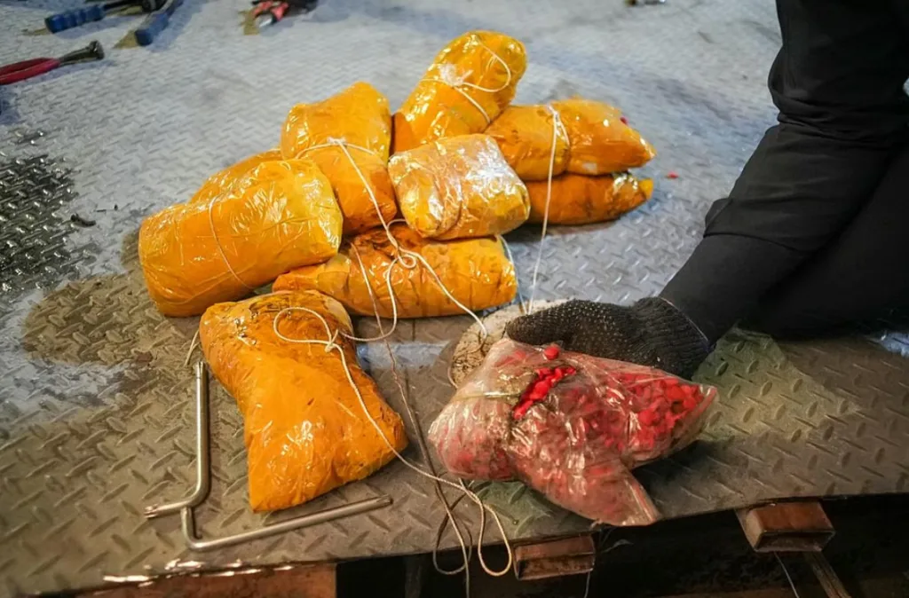 "الزكاة والضريبة والجمارك" تُحبط تهريب 817 ألف حبة محظورة في منفذ البطحاء