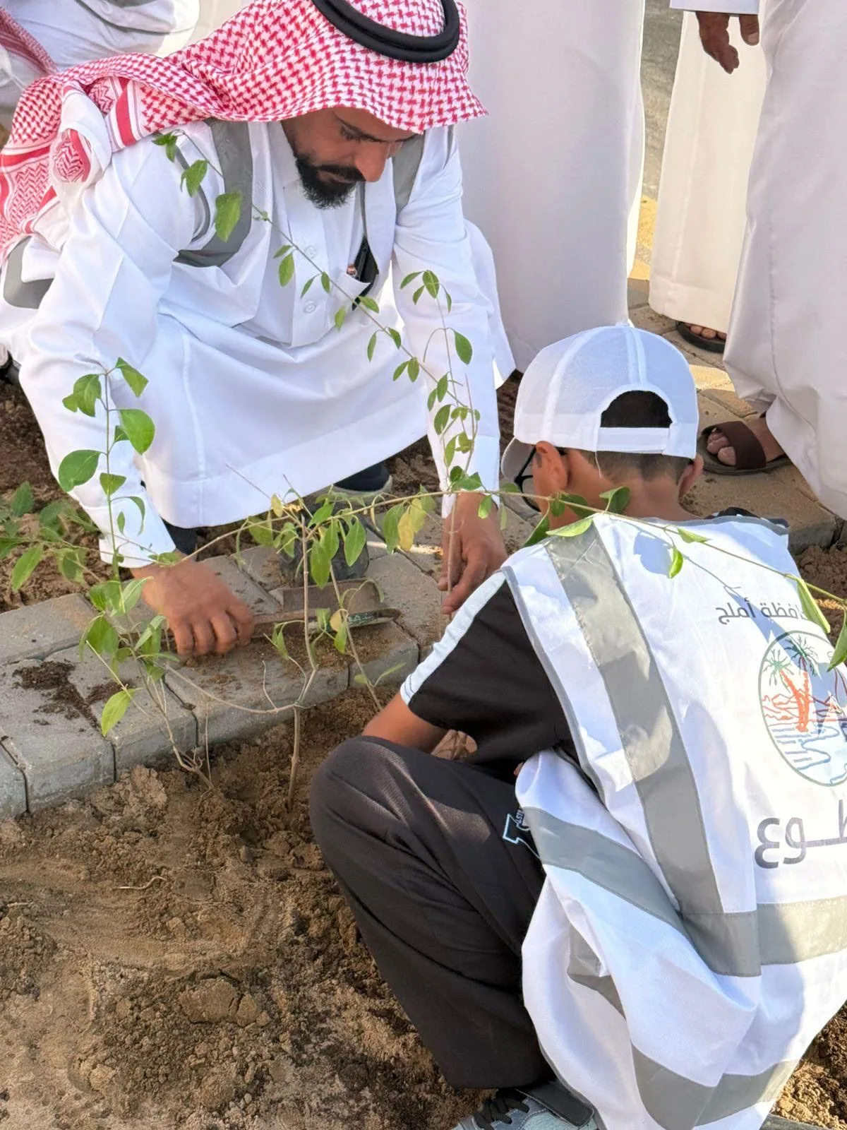 بلدية أملج تطلق مبادرة "يدٌ تغرس وأرضٌ تزدهر" بمشاركة مدرسة عتبة بن مسعود الابتدائية لتحقيق مستهدفات السعودية الخضراء