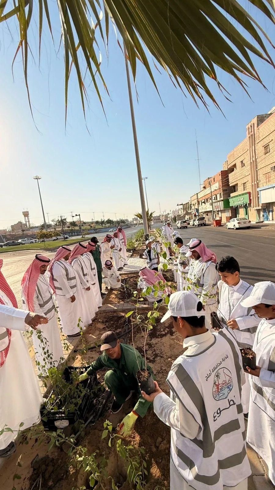 بلدية أملج تطلق مبادرة "يدٌ تغرس وأرضٌ تزدهر" بمشاركة مدرسة عتبة بن مسعود الابتدائية لتحقيق مستهدفات السعودية الخضراء