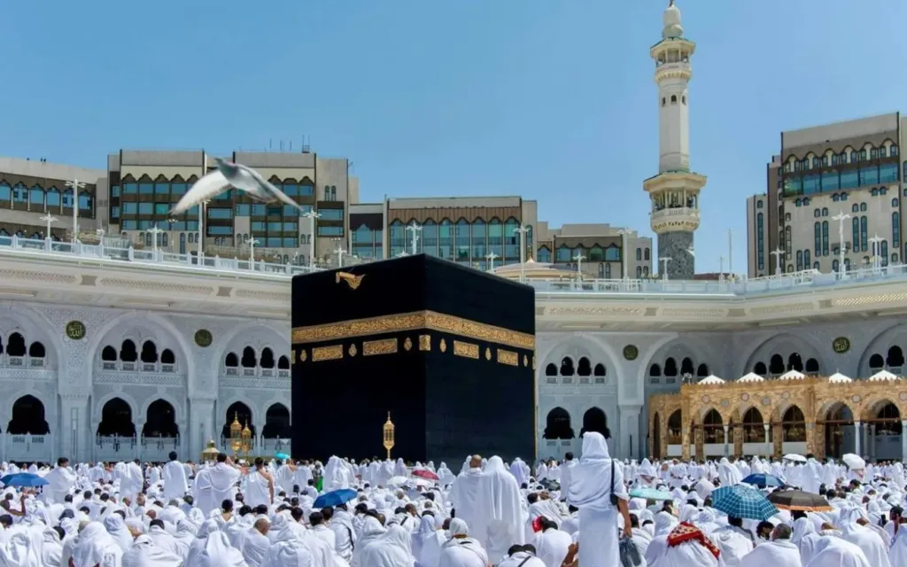 خطيب المسجد الحرام: من أسباب تحصيل الهداية الدعاء والتذلل واللجوء إلى الله