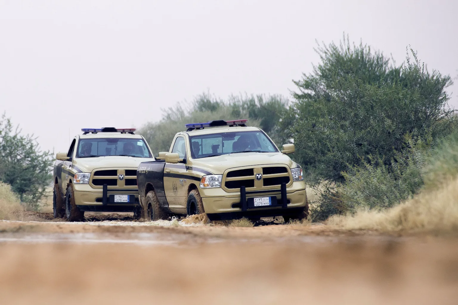 القوات الخاصة للأمن البيئي تضبط عددًا من المخالفين لنظام البيئة