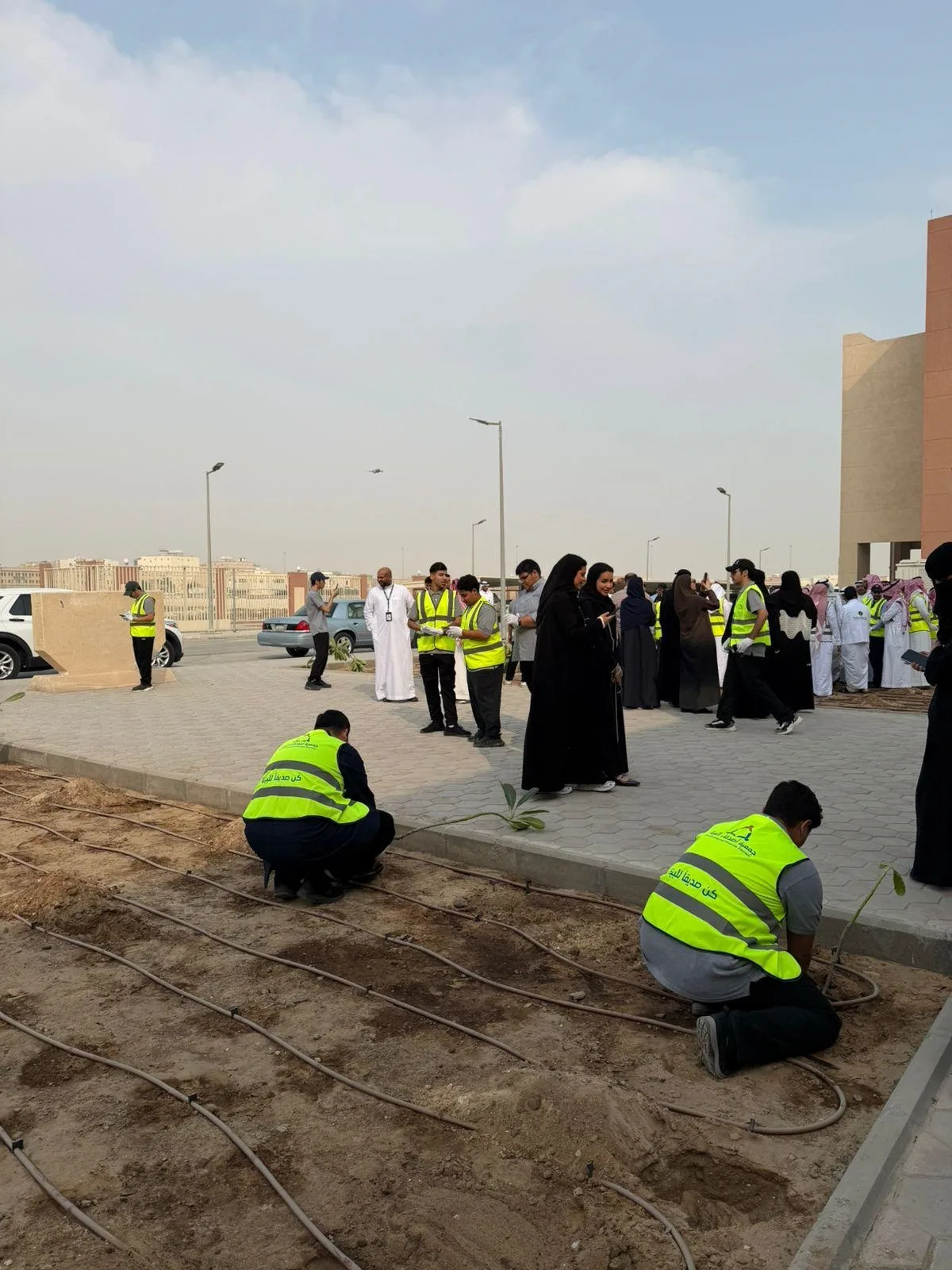 أصدقاء البيئة تنفذ زراعة 1300 شجرة بالكلية التقنية دعمًا لمبادرة التشجير الوطني