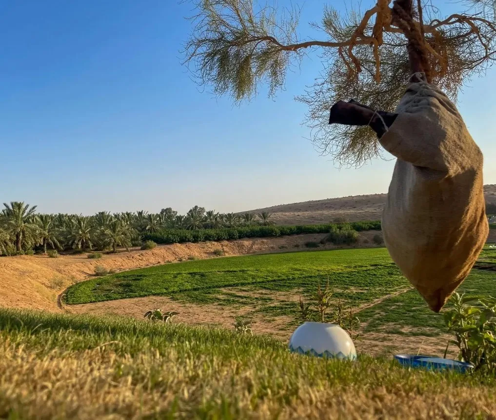 من الجلد إلى الحياة.. كيف سخّرت القِربة البيئة لخدمة الإنسان قديمًا؟
