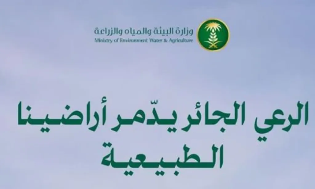 "البيئة" تؤكد أهمية الحد من الرعي الجائر لحماية الغطاء النباتي وتعزيز استدامة الموارد الطبيعية بالمملكة