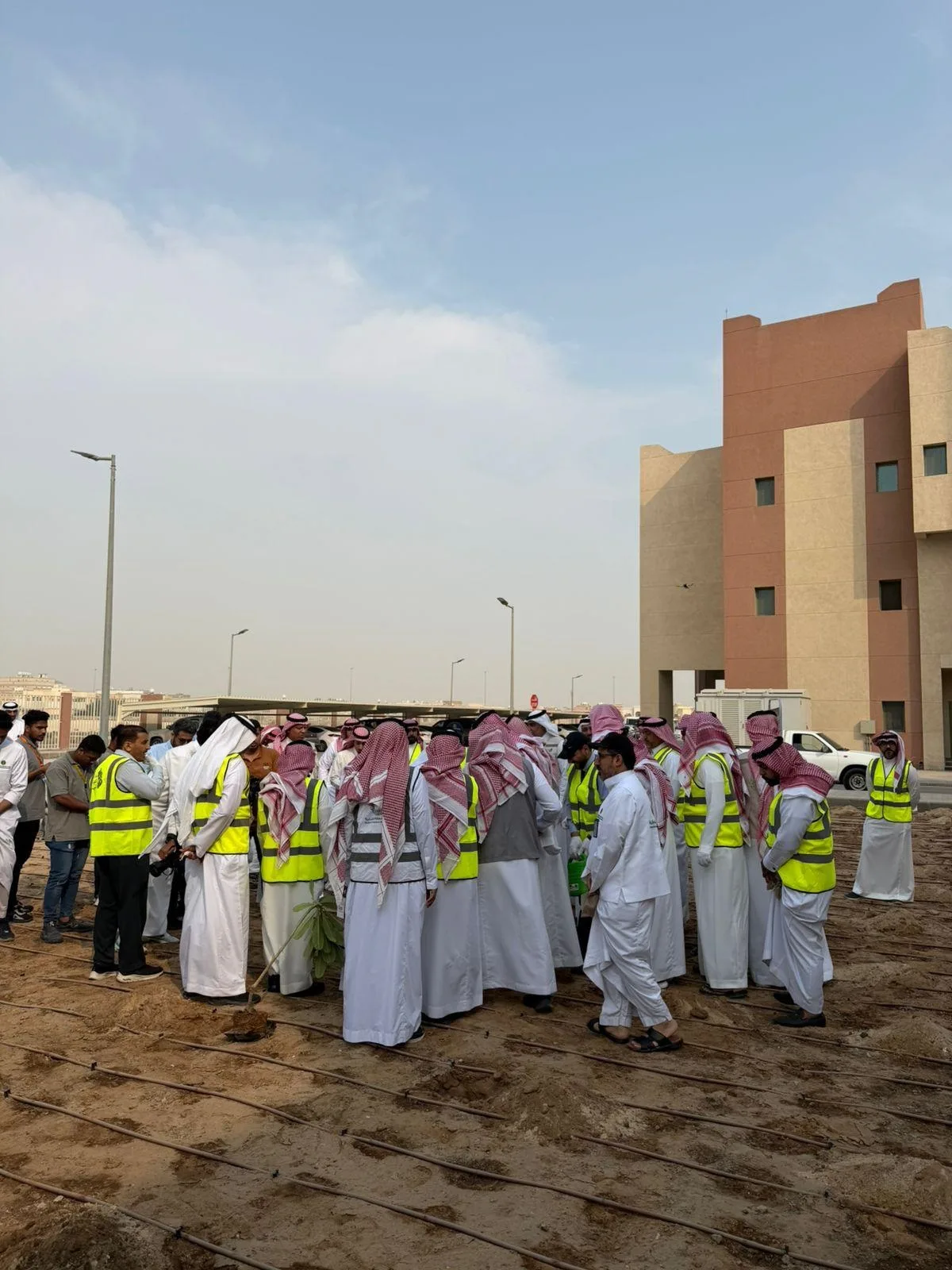 أصدقاء البيئة تنفذ زراعة 1300 شجرة بالكلية التقنية دعمًا لمبادرة التشجير الوطني
