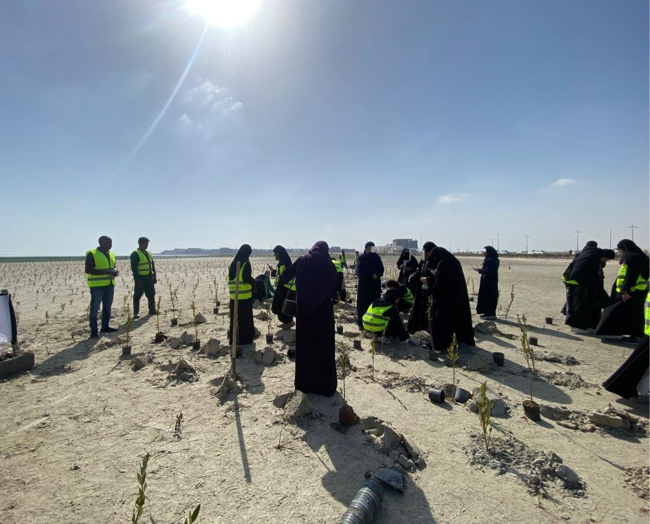 جمعية أصدقاء البيئة تفعّل اليوم العالمي للأراضي الرطبة بزراعة ألف شتلة مانجروف بمشاركة 600 متطوع