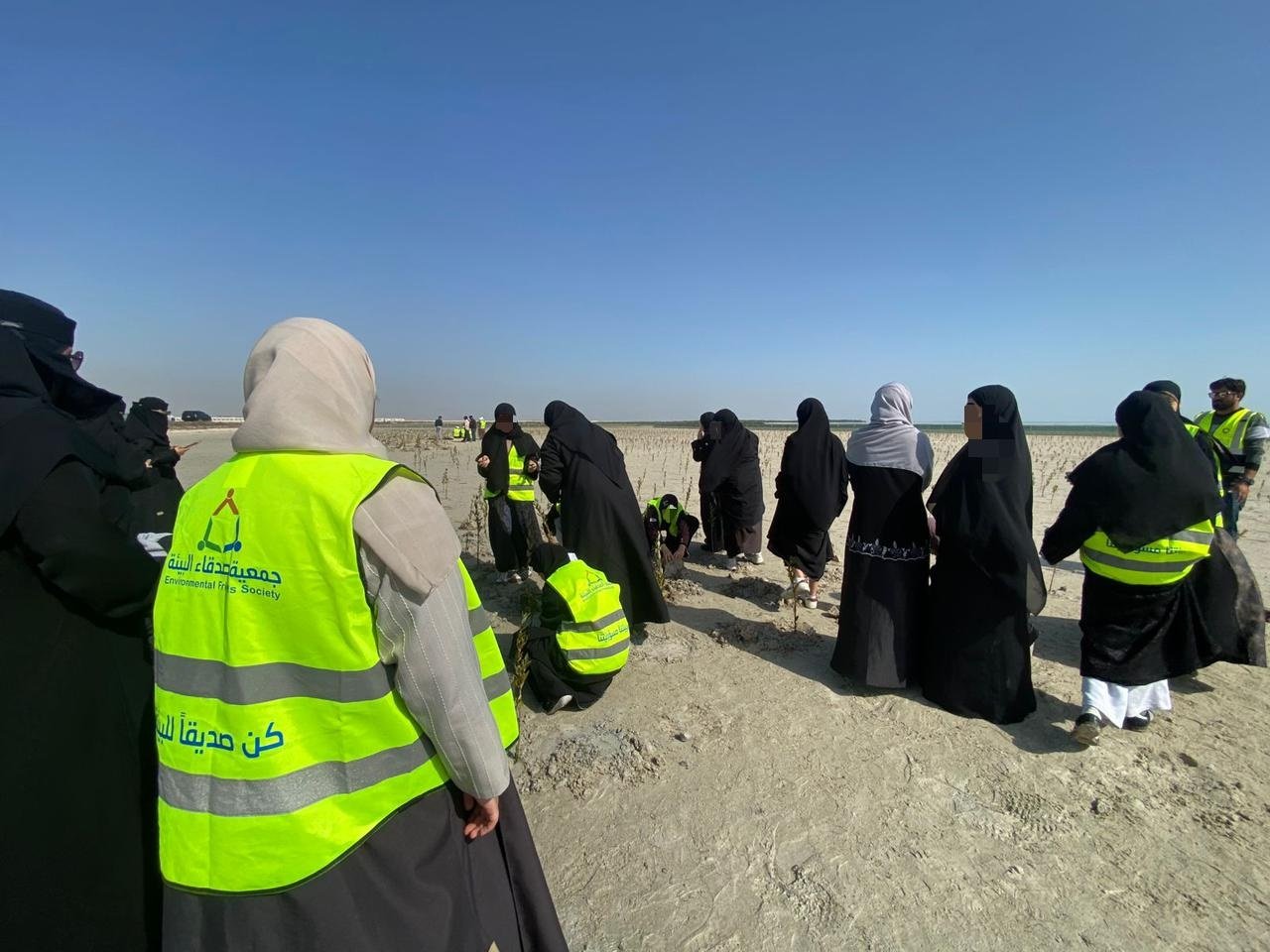 جمعية أصدقاء البيئة تفعّل اليوم العالمي للأراضي الرطبة بزراعة ألف شتلة مانجروف بمشاركة 600 متطوع