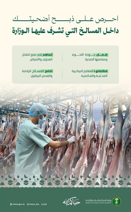 «البيئة» تؤكد أهمية ذبح الأضاحي داخل المسالخ لضمان سلامة اللحوم وحماية الصحة العامة