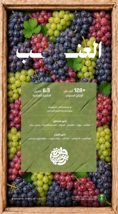 128 ألف طن إنتاج المملكة من العنب.. ووزارة البيئة تطلق حملة "حلوة بموسمها"
