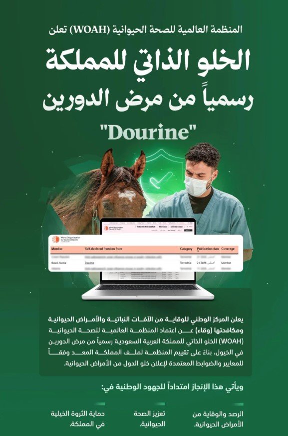 المملكة خالية رسميًا من «الدورين».. اعتراف دولي يعزز مكانتها في صحة الخيول ودعم بطولات الفروسية