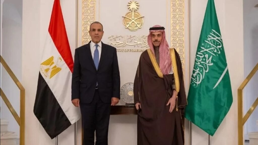 وزير خارجية مصر: مستعدون لتقديم كل أشكال الدعم والتضامن للسعودية
